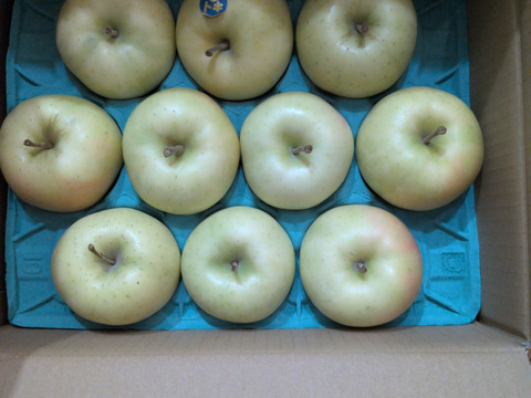 甘いりんご！【トキ】　9個から13個