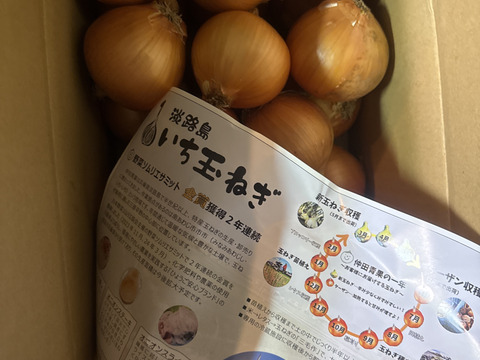 【野菜ソムリエサミット金賞🏆】淡路島玉ねぎ10kg