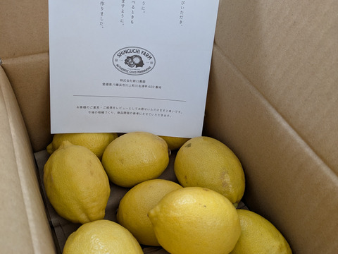 早割【防腐剤・ワックス不使用】訳あり レモン 1kg 【愛媛産】