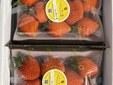 今話題のいちご！】べにたま250g×2パックーDXパックー：埼玉県産