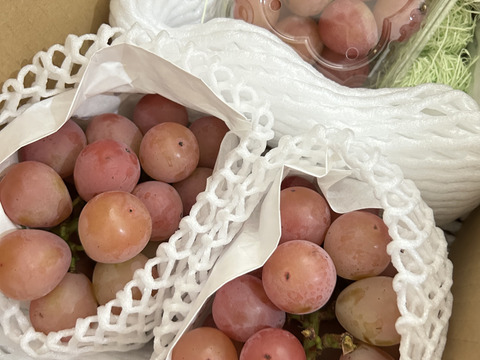 【甘～いぶどう！】#種なし【長野県産　 クイーンニーナ】（計2房）