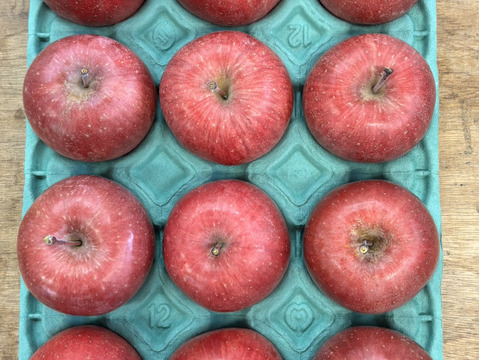 手のひらサイズ　サンフジ小玉 　2.8㎏（12～14玉）