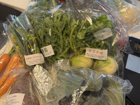 【淡路島より旬をお届け】お任せ野菜セットLサイズ