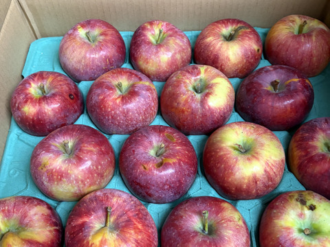 残り2ケース🍎🏃‍♀️シナノリップ5キロ箱 訳あり品 商品ID62461 長野