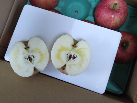 【朝市限定】令和7年度産早期予約セール7%OFF大玉から発送‼️🍎青森県産葉取らず完熟ふじ3キロ‼️味にとことんこだわりました😊