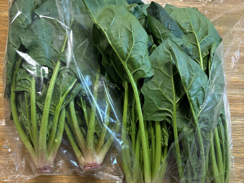 冬の本気！ギュッと濃い味肉厚ほうれん草（200ℊﾊﾟｯｸ×１０Ｐ）