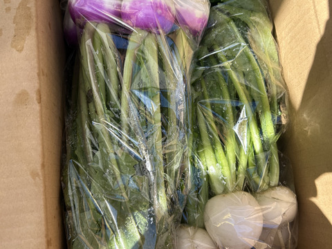 フルーツ＆あやめかぶBOX