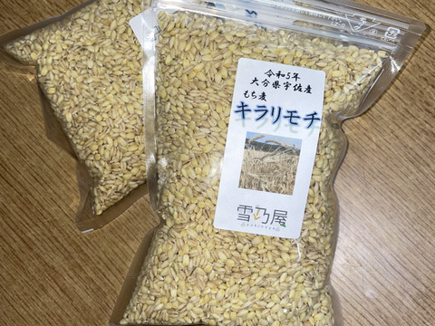 モチプチ食感　もち麦「キラリモチ」　4kg（500g×8袋）☆おまけ付