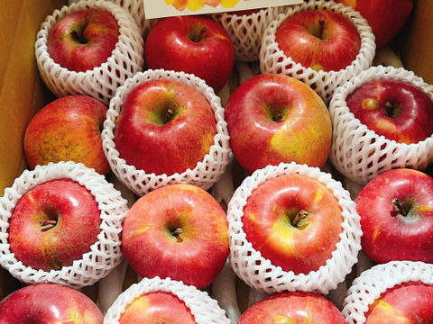 傷があるだけで味は同じ！！溢れんばかりの果汁！！当農園人気No.1 サンふじ【訳あり】５㎏　F-w5