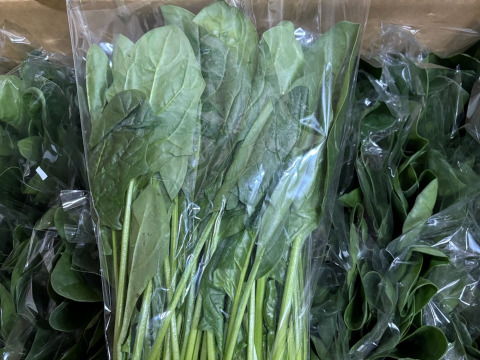 季節のお野菜６品セット