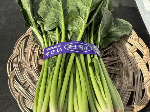 甘さ抜群‼️葉肉が厚いのに柔らかい‼️絶品ほうれん草‼️苦味が苦手なお子様にもおすすめ‼️根っこまで食べられます😋採れたて新鮮をお届け‼️
約1200g（約300g×4袋）