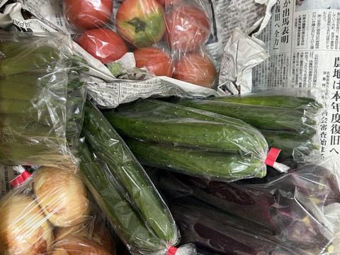 モリモリ新鮮野菜セット（５種類以上）
