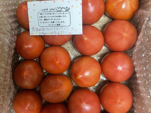 昔ながらのトマト🍅８０サイズ箱詰め(S玉)