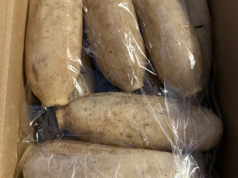 レンコンのシャトーブリアン！？ 【期間限定】 大小バラ ２キロ 久保の蓮根 ハウス栽培