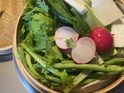 猛暑/夏バテよ　サラバ！体調管理に・・ラディシュ・1kｇ～農薬/化学肥料・不使用