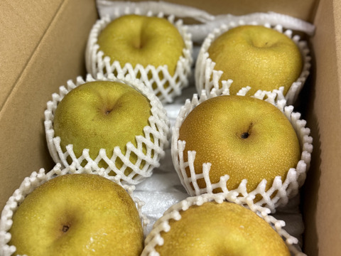 幸水梨（家庭用） 約2.5kg(5～8玉) ※お届けは8月7日前後から