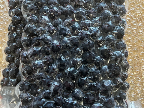 冷凍ブルーベリー MIX１kg　*2025年度収穫*　農薬不使用