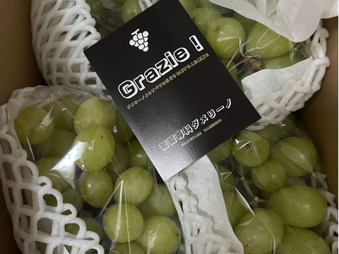 終盤戦セール🍇【訳あり】☆家庭用シャインマスカット 【約1.8