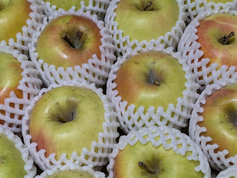 【販売開始！】青森県産りんご「ぐんま名月」家庭用 キズ有 約5kg 【光センサー選果・高リピート率】