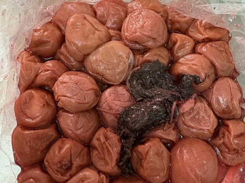 【和歌山県特別栽培】しそ梅干 400g 紀州南高梅 農家直送