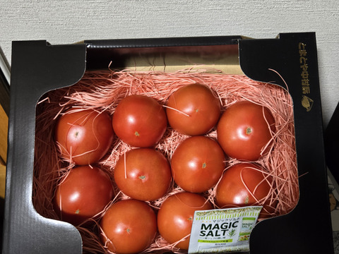 ～春夏秋冬～秋のトマトも楽しみましょう！ぜいたくトマト《秋の陣》