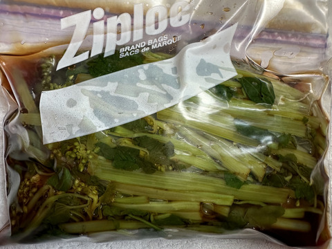 予約受付中！ 春の山菜・花わさび！300g【期間限定 4月下旬～5月