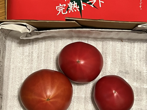 【お試し】ずっしり❗️ジューシー❗️朝採り完熟トマト(規格外)