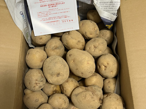 【「ニノさん」にて紹介されたお芋】訳ありじゃがいも　キタアカリ　10㎏