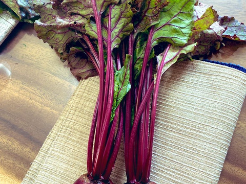 【蓼科高原産】農薬化学肥料不使用　ビーツ　１ｋｇ