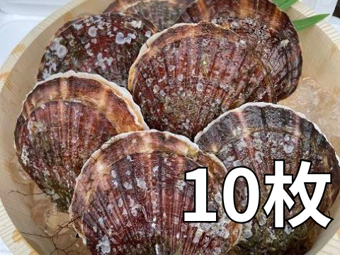 旨くてあまい！３年貝野辺地ホタテ！10枚