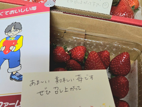 ネット限定お買い得商品 - ショップチャンネル ジューシー】月曜日のいちご スッキリとした 甘さと香りの優等生 その他