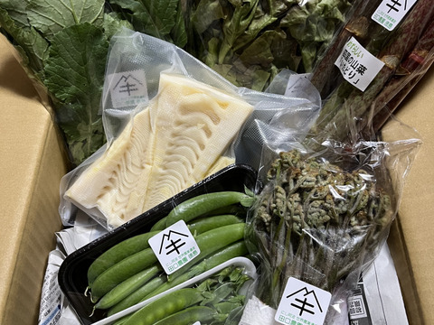 定期便設定（お届け日は２～３日前後します）【たっぷりいろいろ　２０００円セット】農家人が選ぶ旬野菜のおまかせセットです。季節ごとの旬の世界農業遺産ブランド野菜を厳選してお届け致します。