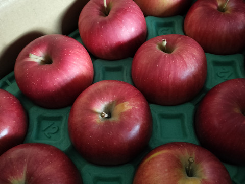 「シナノスイート」お徳用訳あり　 訳あり家庭用3キロ　まだまだ美味しいスマートフレッシュ鮮度保持貯蔵 10個から12個入り　甘くてジューシー　　ご好評販売中