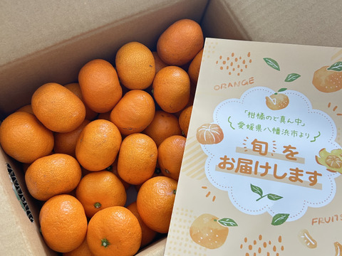 【家庭用】愛媛みかん 2.5kg(小玉サイズ) ひとくちで恋する♡濃い味みかん♪【冬ギフト】