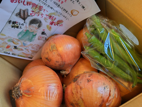 新玉ねぎ3kg🅱️🧅淡路島極熟玉葱　今が旬‼️ 特別栽培農産物　シャーロットオニオン