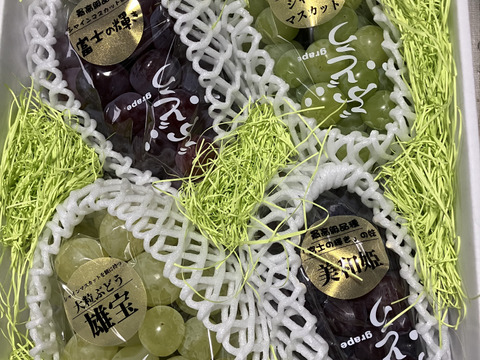 超高級4種親子食べ比べセット！富士の輝、美和姫、雄宝、シャインマスカット入！