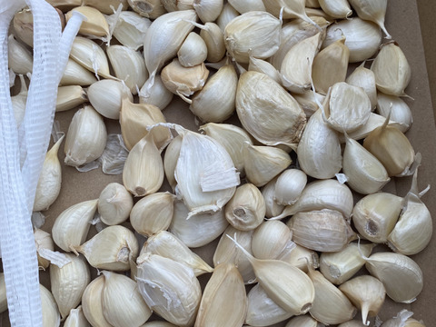 【わけあり品・数量限定】青森県産ホワイト六片種にんにく バラ 1kg(500g×2箱)【小粒のみ】