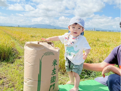 令和7年産米　新商品！大きい粒でとっても美味しい　合鴨農法雪若丸　玄米30キロ（30キロ1袋）