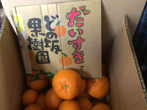 【訳あり】完熟早生みかん　5㎏