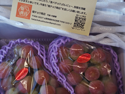 数量限定【山梨県が開発】サンシャインレッド 約1kg（2〜3房