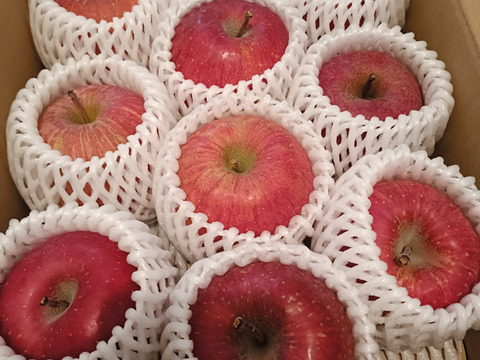 長沼果樹園　ふじりんご10個入り　約3㎏　山形県上山市　最初に酸味、後から甘みが感じられる「味が濃い！」といわれるりんごです。