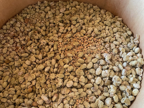 醤油作成キット（500ml分）