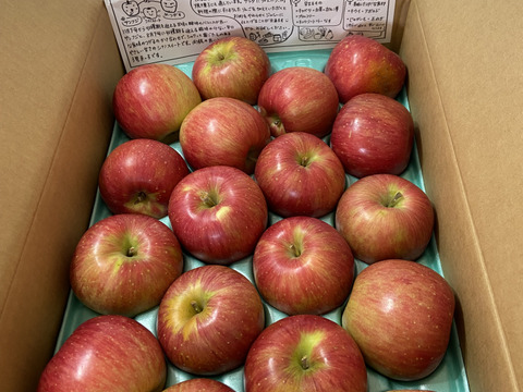 甘くて美味い！シナノスイート　長野県産　ご家庭用　約5kg(10個〜20個)