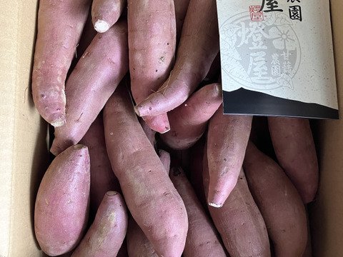 低温熟成保管‼茨城県産紅はるかSサイズ5㎏ さつまいも