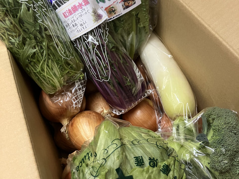 【福袋】玉ねぎ6kg🧅とその他葉物野菜など5種類以の上野菜セット