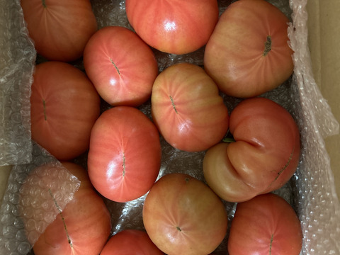 《おﾄｸな訳あり》味が濃くジューシィ！大玉トマト『りんか』(ご家庭用・4キロ)