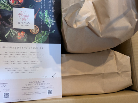 【令和7年新米】コシヒカリ 5kg×2=10kg（白米）