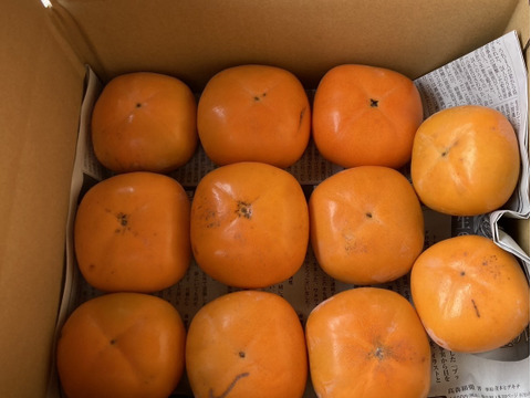 柿　ひらたねなし柿【家庭用】約5キロ〔20個ぐらい〕