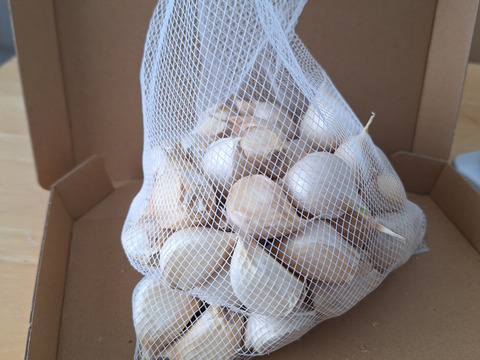【初めての栽培】令和６年新物 250g～!! 北海道しれとこ産　にんにく