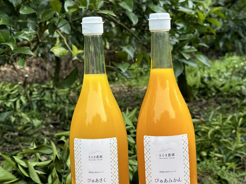丸ごと生しぼり！〖農薬不使用〗みかんジュースと八朔ジュース無添加100％720ml各1本計2本